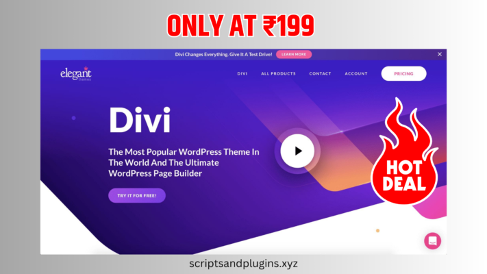 Divi Theme